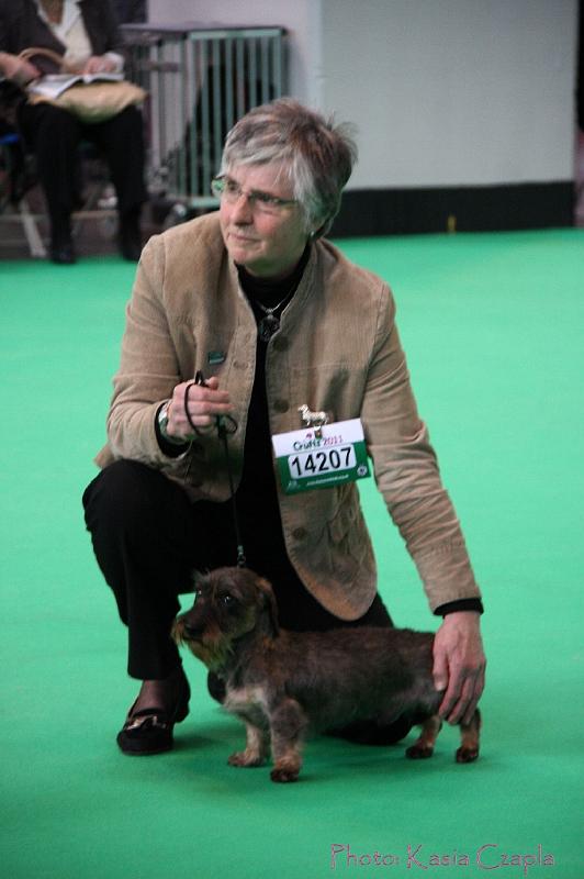 Crufts2011_2 705.jpg